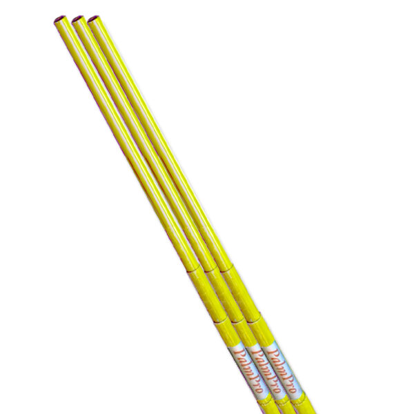 Palm Pro E (Yellow)